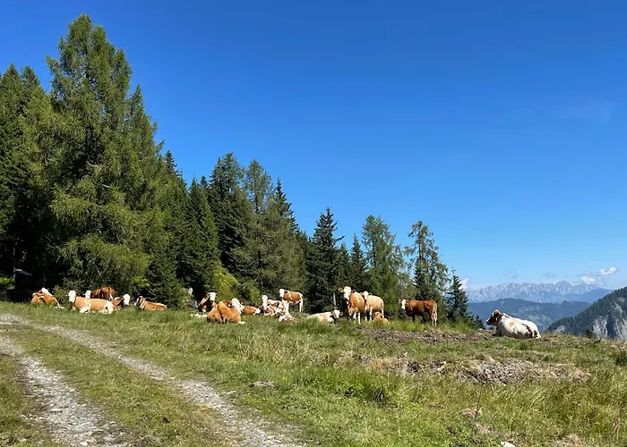 Gaestezimmer Peterbauer